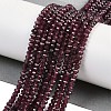 Natural Garnet Beads Strands G-H081-A01-01-2