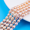 Natural Cultured Freshwater Pearl Beads Strands PEAR-N012-06H-5