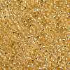 8/0 Glass Seed Beads SEED-US0003-3mm-22-2
