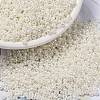 MIYUKI Round Rocailles Beads X-SEED-G008-RR0592-1
