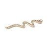 Rack Plating Brass with Cubic Zirconia Pendants KK-S504-01G-2