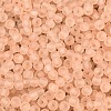 FGB Frosted Transparent Glass Seed Beads SEED-N013-02A-03-3