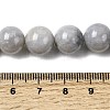 Natural Gemstone Beads Strands G-L641-A01-05-5