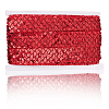 Polyester with PT Paillette Lace Trim Ribbon OCOR-WH20073-01A-6