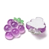 Fruit Theme Opaque Resin Imitation Food Pendants RE-CBA49A8-04G-2