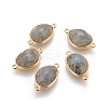 Natural Labradorite Links connectors G-L513-02G-1