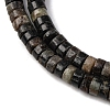 Natural Biotite Beads Strands G-L624-I12-3x6mm-4