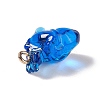 Transparent Resin Pendants RESI-E028-01G-05-3