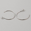 Brass Earring Hooks KK-WH0044-141B-P-2