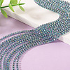 4.8 Yards Iron Rhinestone Cup Chains CH-TA0001-10D-5