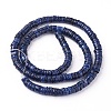 Shell Beads Strands LS-SSHEL-E571-49F-3