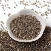 Glass Seed Beads SEED-S042-13A-16-2