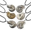 Natural Conch Fossil Pendant Necklaces G-P552-01P-1