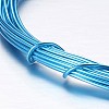 Round Aluminum Craft Wire AW-D009-0.8mm-10m-16-2