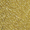 Glass Seed Beads X1-SEED-A006-3mm-110-2