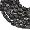 Natural Larvikite Beads Strands GG-C286-A28-3