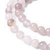 Natural Violet Strawberry Quartz Beads Strands X-G-P530-B02-01-4