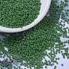 MIYUKI Round Rocailles Beads X-SEED-G007-RR0431-1