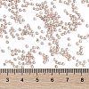 TOHO Round Seed Beads X-SEED-TR11-1067-4