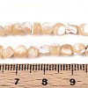 Natural Trochid Shell/Trochus Shell Beads Strands SSHEL-N040-11-4