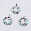 Abalone Shell/Paua Shell Pendants SSHEL-L008-27P-1