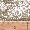 MIYUKI Delica Beads LS-X-SEED-J020-DB0384-4