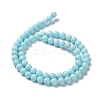 Natural Howlite Beads Strands G-E604-B02-A-3