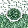 Picasso Transparent Glass Beads SEED-Q039-04F-2