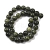 Natural Taiwan Jade Beads Strands X-Z0SRR014-3