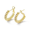 Brass Wire Wrap Spiral Hoop Earrings for Women EJEW-P215-01G-1