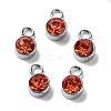 Glass Rhinestone Charms STAS-F189-P05-1
