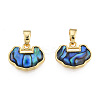 Synthetic Abalone Shell/Paua Shell Charms with Real 18K Gold Plated Brass Findings KK-N233-426-3