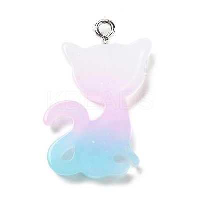 Translucent Resin Pendants RESI-G069-03B-1