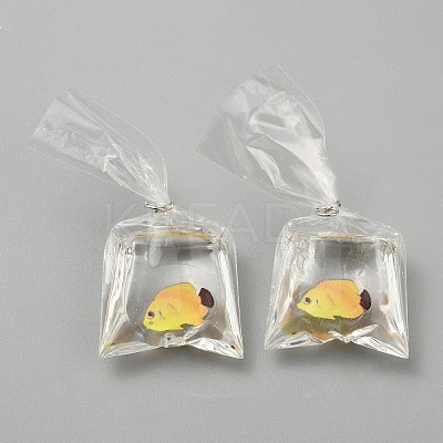 Transparent Resin Big Pendants RESI-TAC0024-01D-1