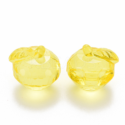 Transparent Acrylic Pendants TACR-T024-05B-916-1