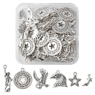 48Pcs 6 Styles Tibetan Style Alloy Pendants FIND-FS0001-49-1