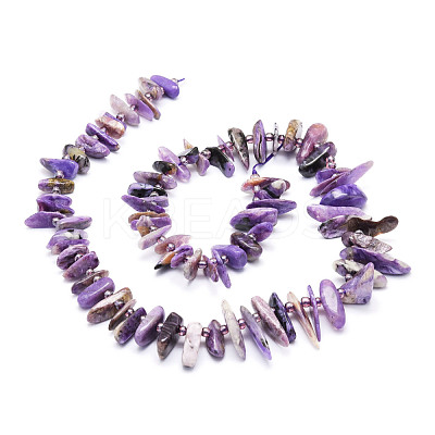 Natural Charoite Beads Strands G-E569-O03-1