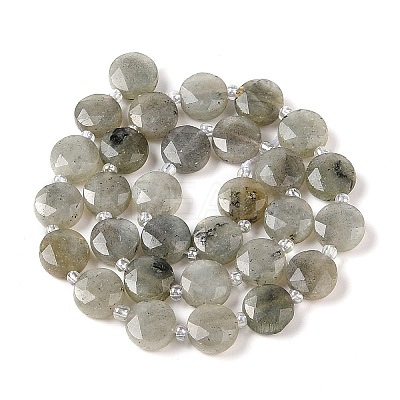 Natural Labradorite Bead Strands G-C116-A10-01-1