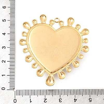 304 Stainless Steel Big Pendants STAS-H250-01GP-02-1