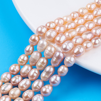 Natural Cultured Freshwater Pearl Beads Strands PEAR-N012-06H-1