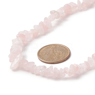 Natural Rose Quartz Chip Beaded Necklaces with 304 Stainless Steel Lobster Claw Clasp & Chain Extender NJEW-JN04225-01-1