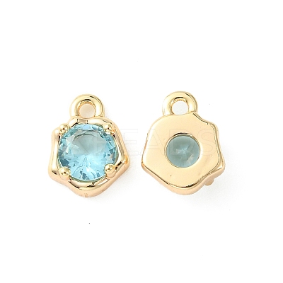 Brass Micro Pave Cubic Zirconia Charms KK-L208-10G-06-1