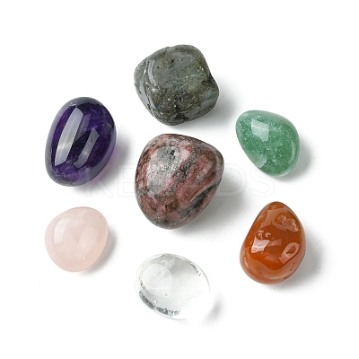 7Pcs Natural Labradorite & Amethyst & Rose Quartz & South Red Agate & Rhodonite & Green Aventurine & Quartz Crystal Tumbled Stone Sets DIY-FS0007-10B-1