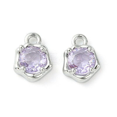 Brass Micro Pave Cubic Zirconia Charms KK-L208-10P-01-1