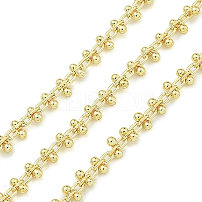 Brass Chains CHC-B022-13G-1