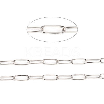Tarnish Resistant 304 Stainless Steel Paperclip Chains CHS-F010-01E-P-1