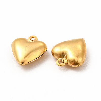 304 Stainless Steel Pendants STAS-F289-06G-1