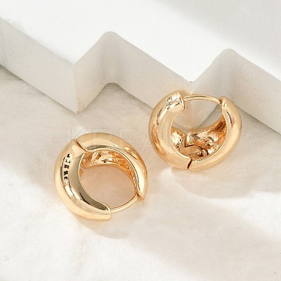 Brass Hoop Earrings for Women LS-EJEW-U041-02G-1