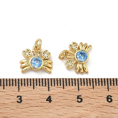 Brass Micro Pave Cubic Zirconia Charms X-KK-C252-03G-1