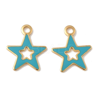 304 Stainless Steel Enamel Charms STAS-U057-13G-02-1